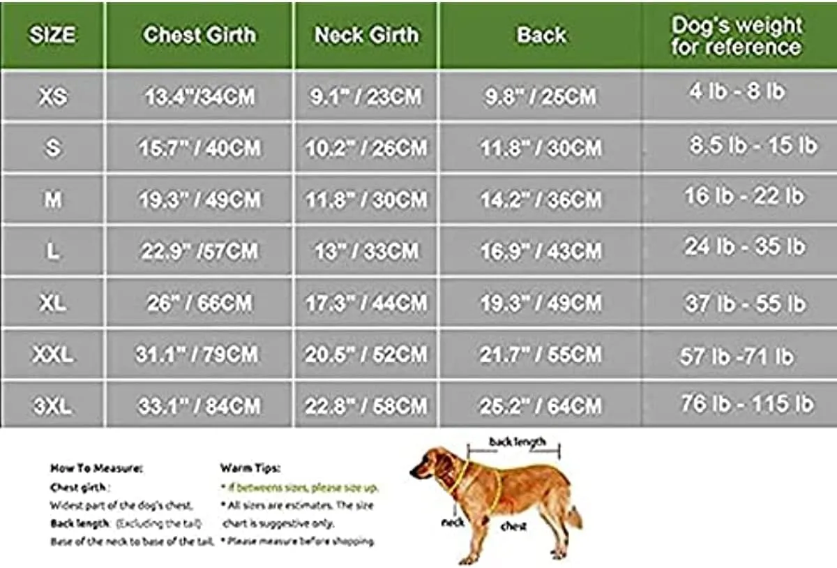 American Flag Popsicle 4th of July Funny Graphic Puppy Clothes Memorial Day, Independence Day, Holiday Dog Clothes for Small Dogs Boy Girl, Pet Cat Outfit (X-Small, gnome)